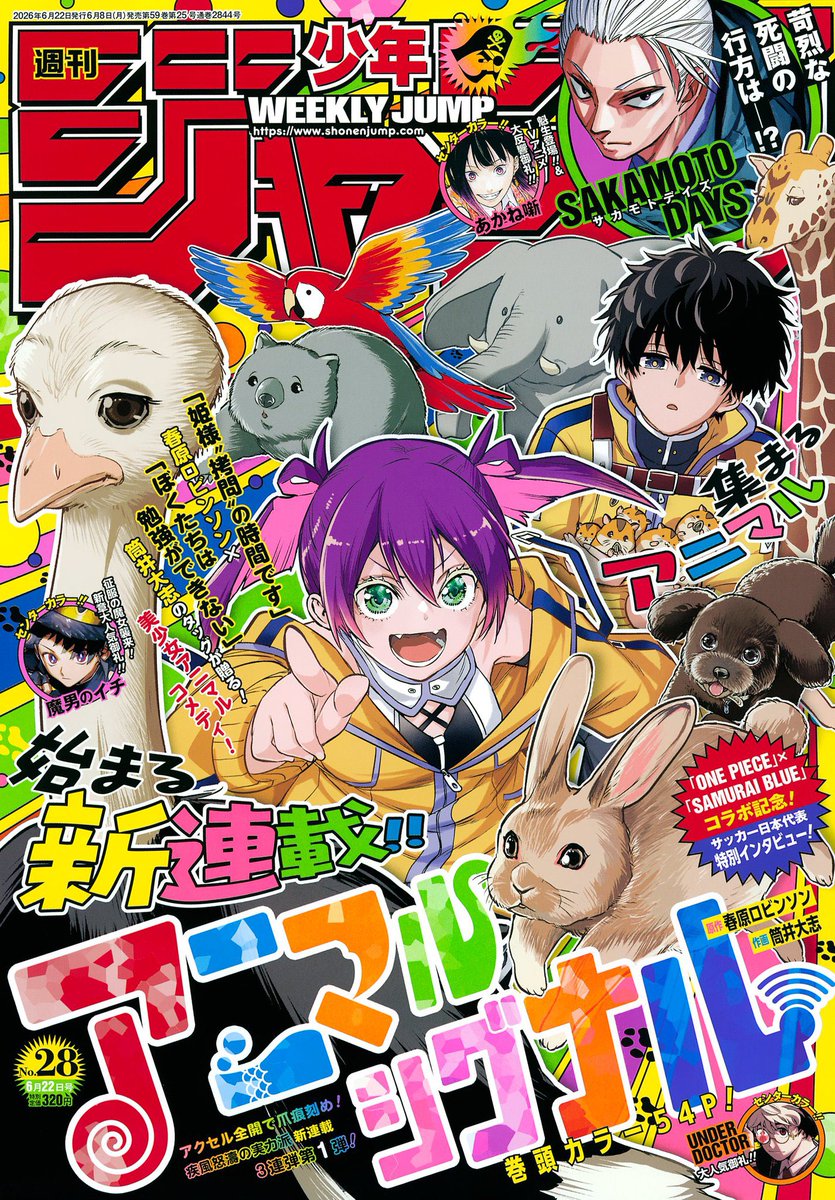 _o0xx__'s tweet photo. 仕事帰り駅で前を歩いていた叔父様のカバンの中に思い切りこれが入ってるのが見えてしまった☺️ https://t.co/xWO0n8BRuY