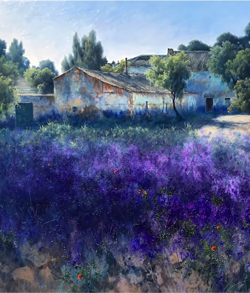 fraveris's tweet photo. “Look at the world every day as if you were seeing it for the first time.” 

(Éric-Emmanuel Schmitt) https://t.co/roe8pJwZFz