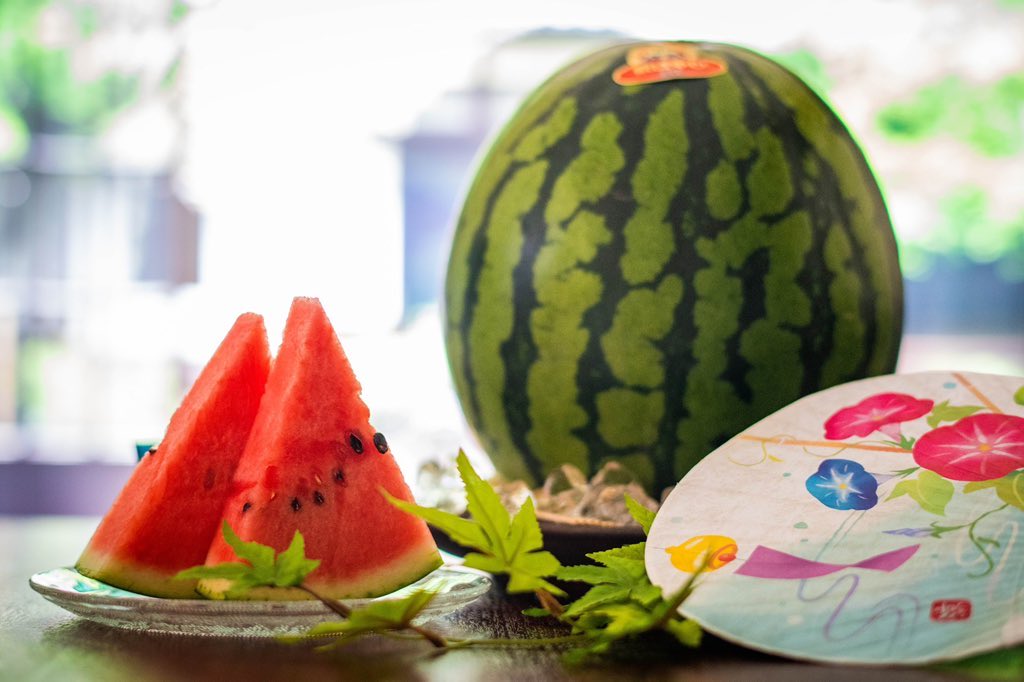 taiseinouen's tweet photo. 🍉第126回プレゼント企画🍉

抽選で1名様に
甘さとシャリ感が自慢の
特選大玉スイカ🍉祭りばやし🍉1玉（約8〜9kg）をプレゼント致します✨

今シーズンの発送もスタート！
沢山のご応募お待ちしております😊

☆応募方法☆
1️⃣ @taiseinouen をフォロー
2️⃣ この投稿をリポスト

※送料も無料です。

締切 6/13（土）23:59