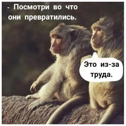 Mike_Linev tweet picture