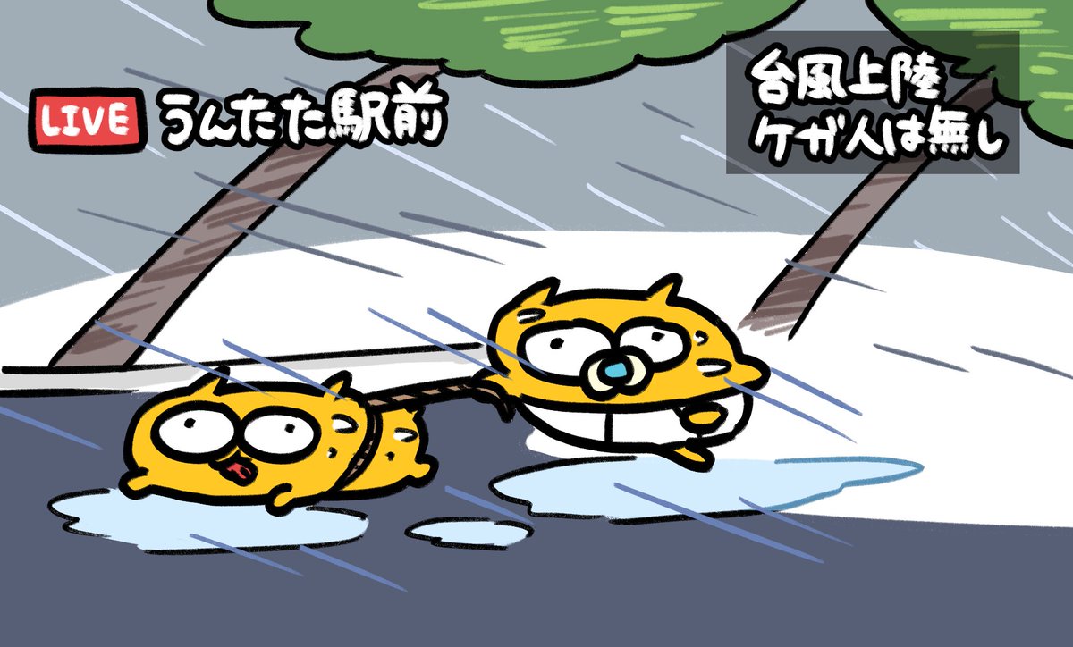 untaneko's tweet photo. https://t.co/mzFOodTHb0