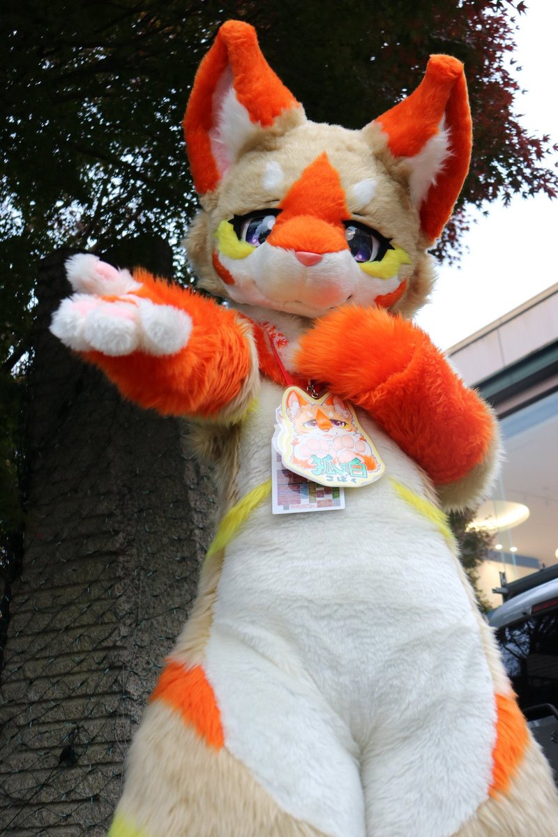 wolfkemo's tweet photo. そろそろ狐珀ちゃん出したいね🦊 https://t.co/YQq59X6BRm