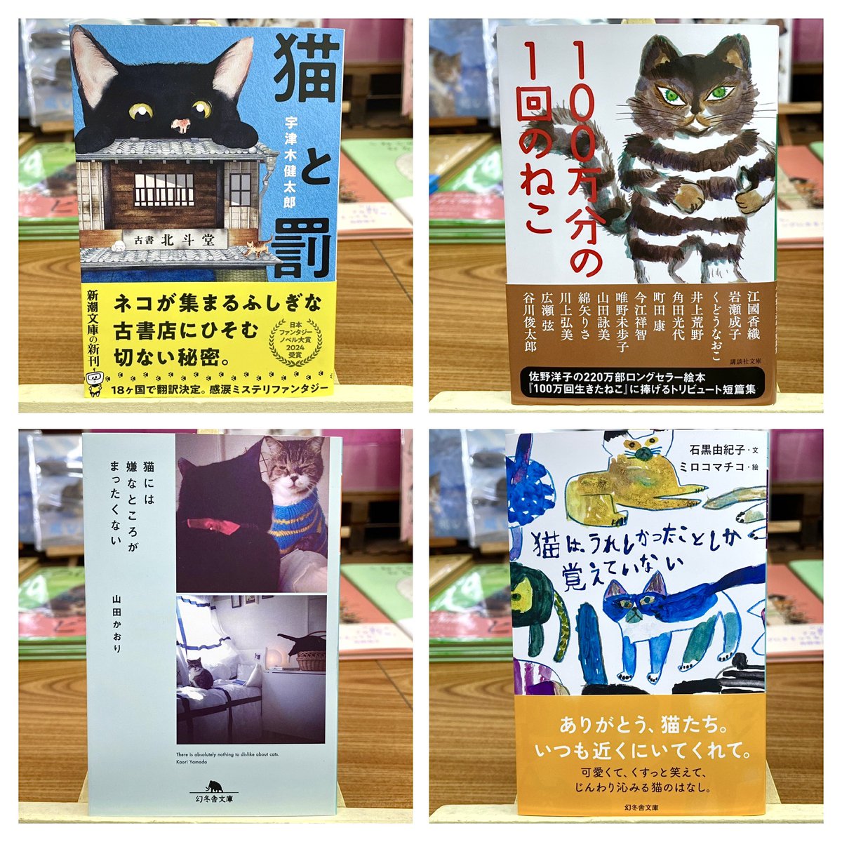 宇津木健太郎🐈‍⬛『猫と罰』 (@KChickenShop) / Posts / X