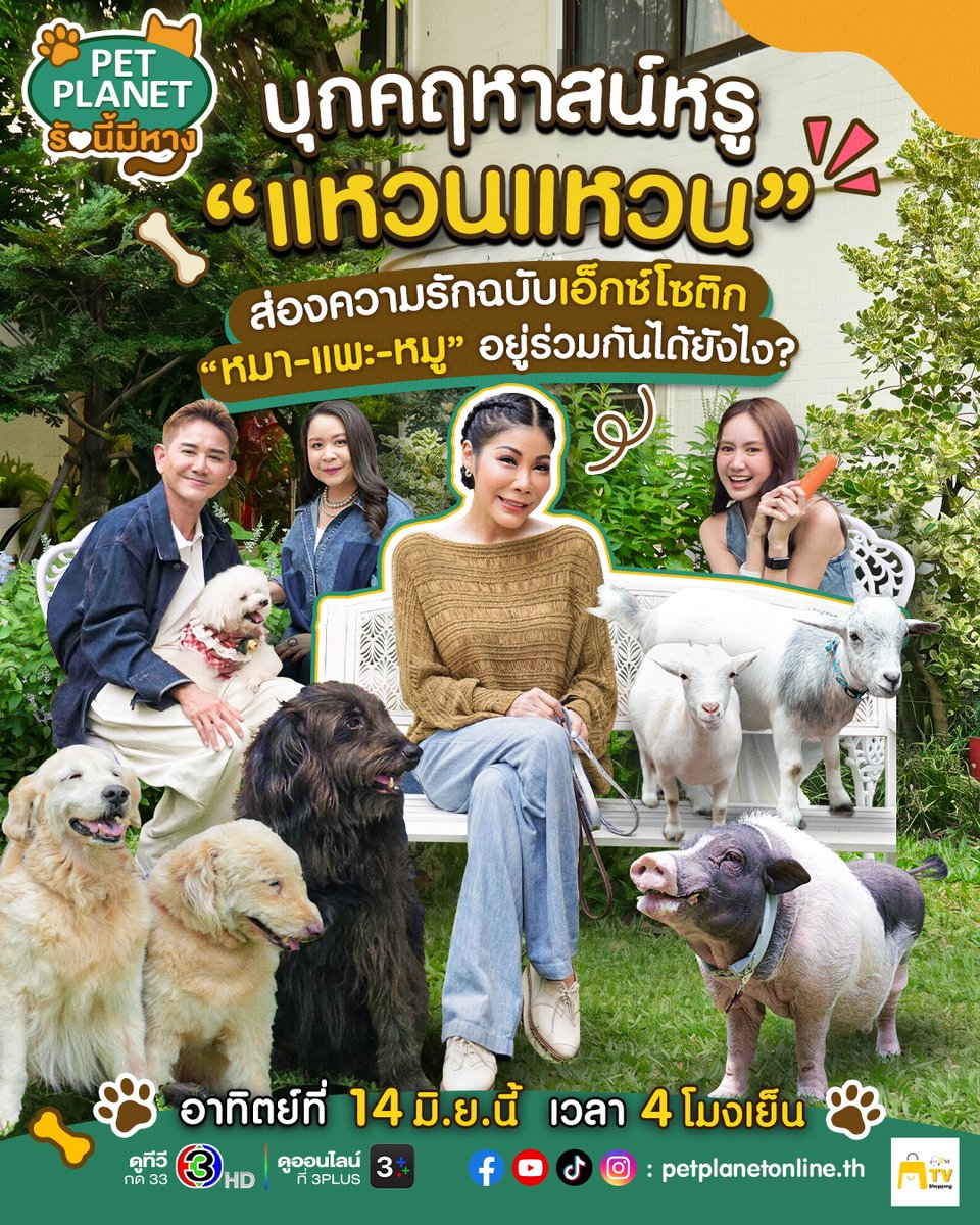 Ch3Plus's tweet photo. เปิดคฤหาสน์หรู “แหวนแหวน” ส่องความรักฉบับเอ็กซ์โซติก
เมื่อ หมา-แพะ-หมู ต้องมาอยู่บ้านเดียวกันได้ไง?!
ปักหมุดรอชมความป่วนพร้อมกัน อาทิตย์ที่ 14 มิ.ย. นี้ 4 โมงเย็น ทางช่อง 3HD 📺🐾
#PetPlanetรักนี้มีหาง
#ช่อง3 #3Plus https://t.co/VEU8VqzH1g