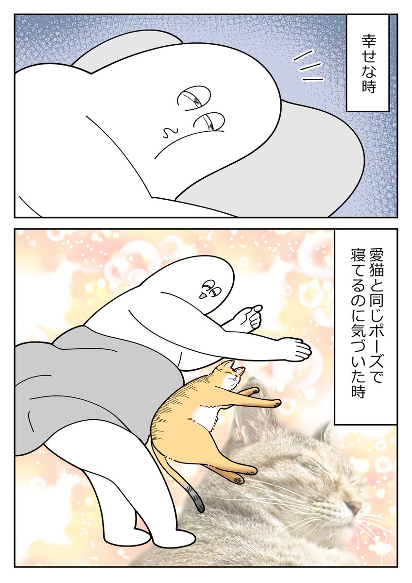 mori2ta's tweet photo. 幸せな時 https://t.co/MhbeVONM67