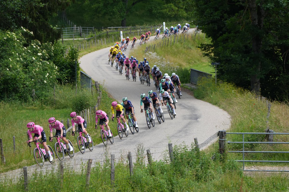 tourauverhalpes's tweet photo. 🏁 173km - ⏱️ 5'45''
🔟🚴🏻‍♂️<🚴🏻‍♂️🚴🏻‍♂️🚴🏻‍♂️🚴🏻‍♂️🚴🏻‍♂️🚴🏻‍♂️🚴🏻‍♂️🚗

Derrière les 10 échappés, c'est l'équipe @EFprocycling qui mène le peloton pour défendre le @MaillotjauneLCL d'Alex Baudin. 💛

Behind the 10-rider breakaway, @EFprocycling is setting the pace in the peloton to defend Alex Baudin’s yellow jersey. 🩷

#TourAuvergneRhoneAlpes