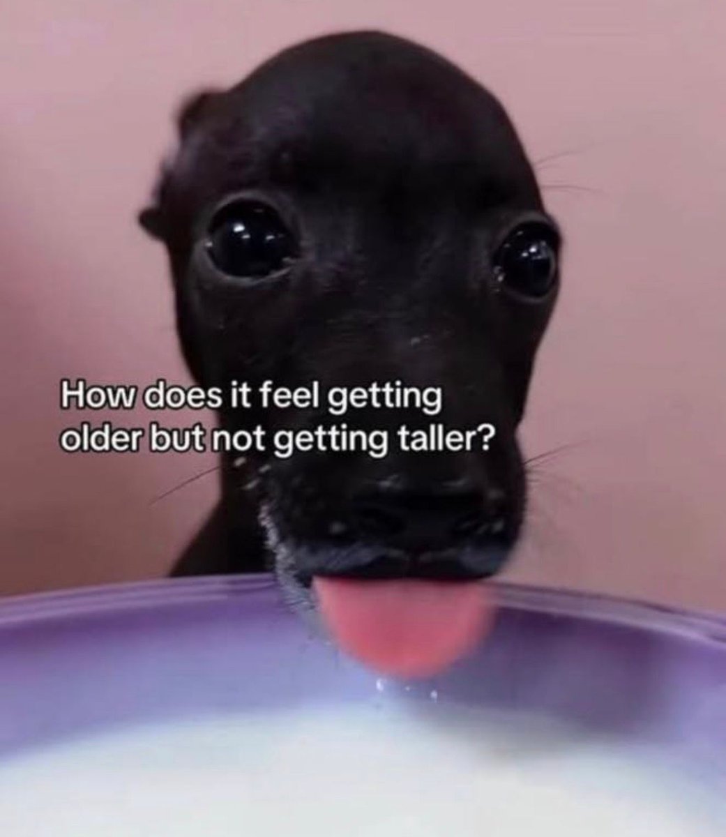 nocontextmemes's tweet photo. https://t.co/msHhVoemKc
