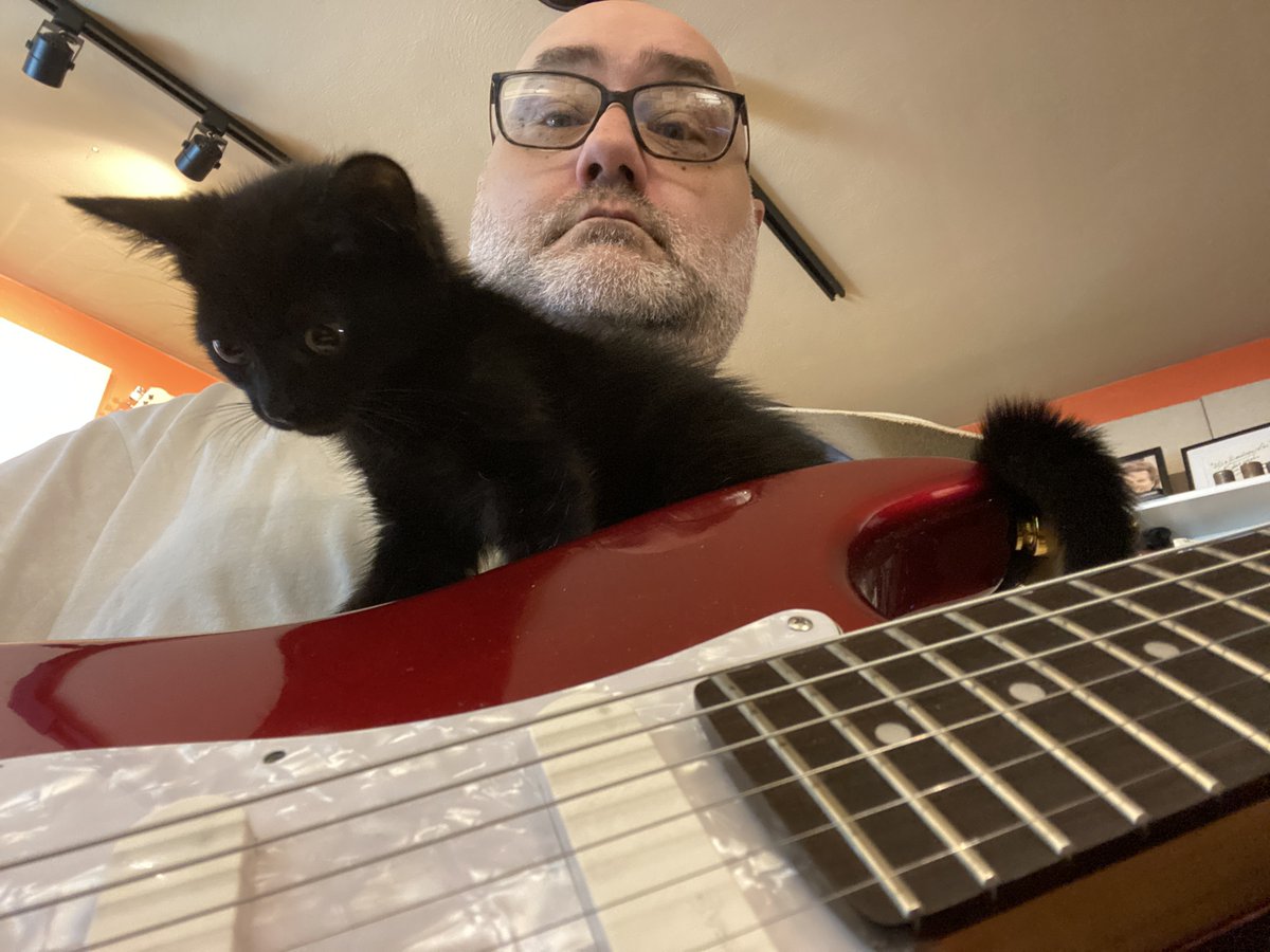 uncommnephemera's tweet photo. No show tonight. One of our cats Peter has taken a turn for the worst, due to a congenital liver shunt condition. We're not sure he's going to make it much longer. We'll update you when you can. For now, we're just heartbroken. https://t.co/LKzM7cMQkX