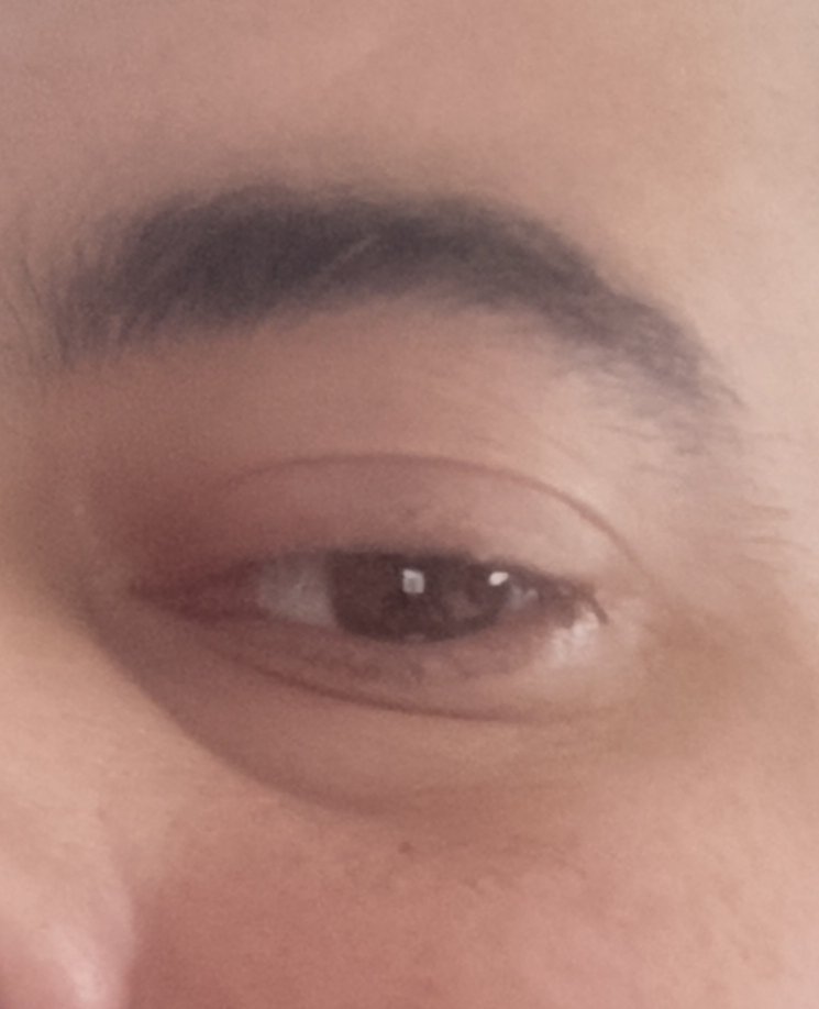 darkluceid's tweet photo. Diuen que els ulls són el mirall de l'anima...

Els meus, tot i que cansats, segueixen mantenint la guspira d'humor que sempre m'ha caracteritzat (o així ho espero...)

#DillunsDUlls
#LunesDeOjos https://t.co/Q7wa1Ydz7l