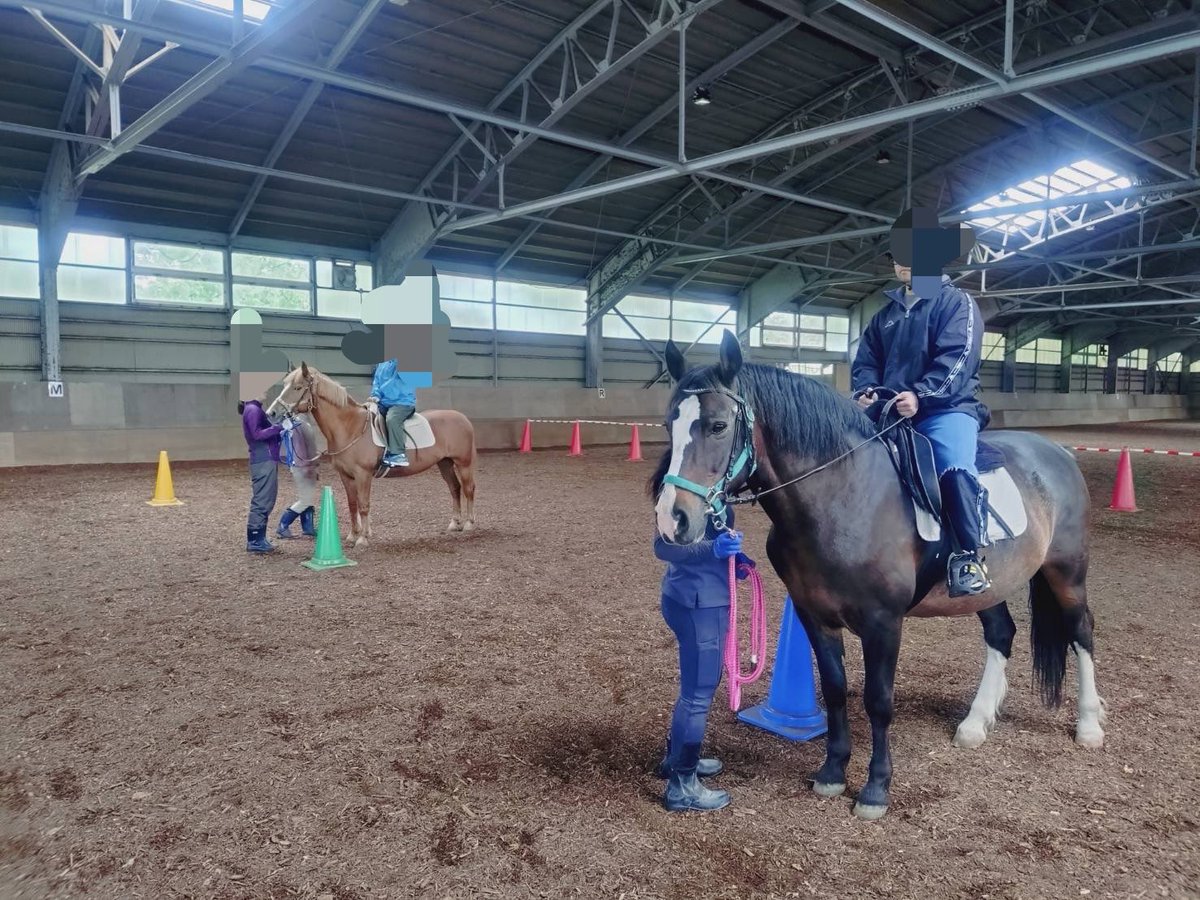 2001tmfc's tweet photo. 先日の土曜の午後は障害者乗馬のボランティアで乗馬公園に。乗馬会で仲間のみんなに会えて、乗り手さんの楽しい笑顔に���気もらった(^^)
お馬のカファラジくん、キューちゃん、いつも活動に協力してくれてありがとね。乗馬公園のスタッフさん、今回も感謝感謝🎶 https://t.co/Ff21roz1g2