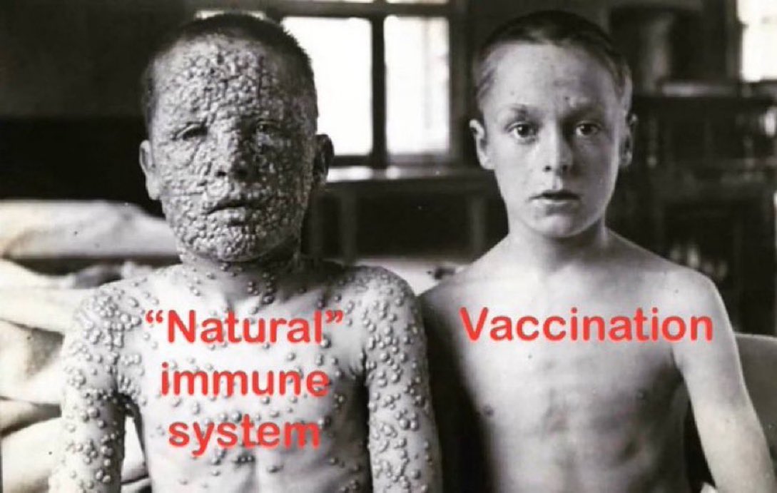 Castlebar13's tweet photo. @Nd47273926 @4mambo Yes it did just like all vaccines.
Natural immunity….

Good luck. https://t.co/PjuF13aDRU