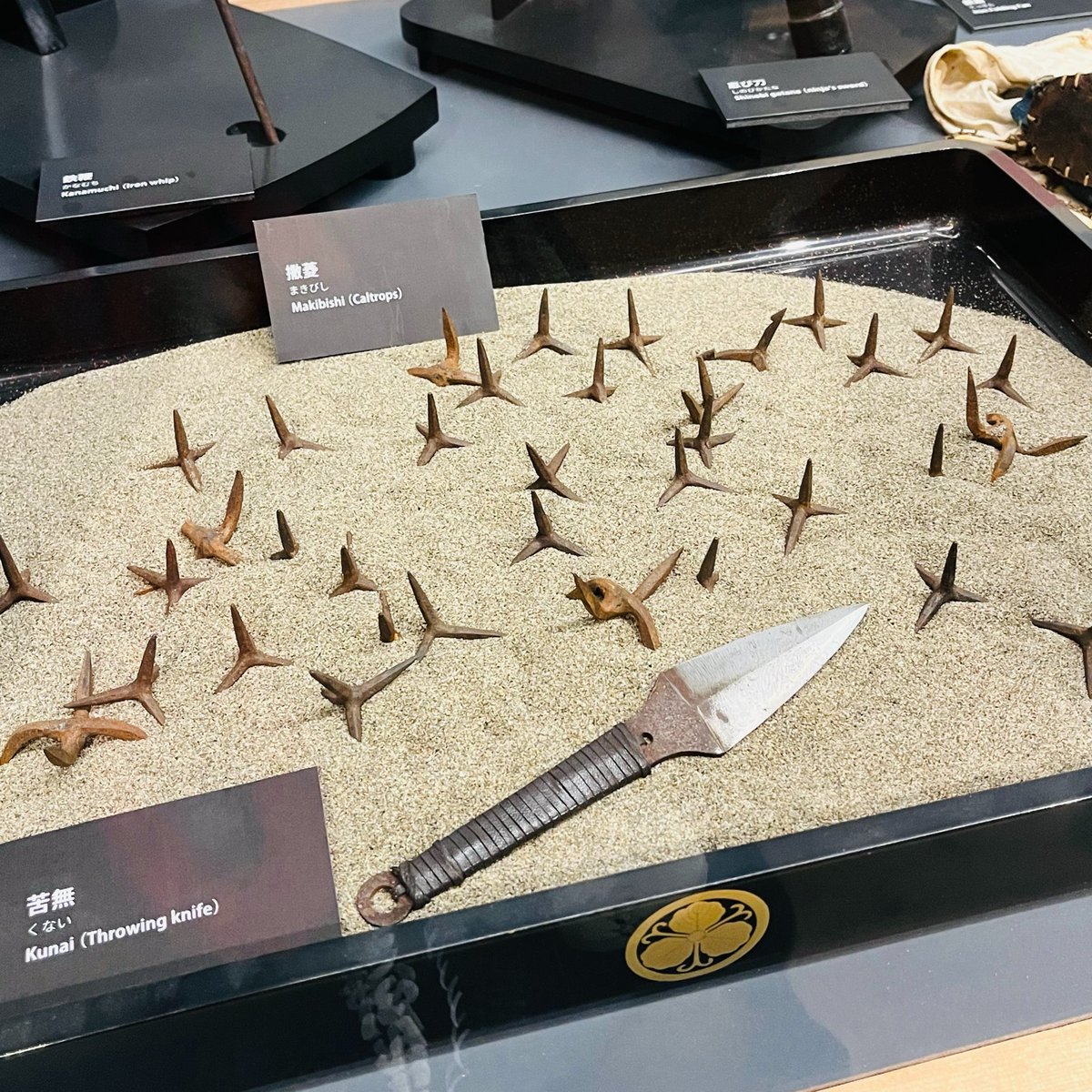 roosterpools's tweet photo. 忍者武器ミュージアム🥷
いろんな武器があってテンション上がる〜いつか撒菱と手甲鉤を手に入れたいと思っている🥷

手裏剣も投げたぞ🥷🥷🥷 https://t.co/KhUpXCl1X2