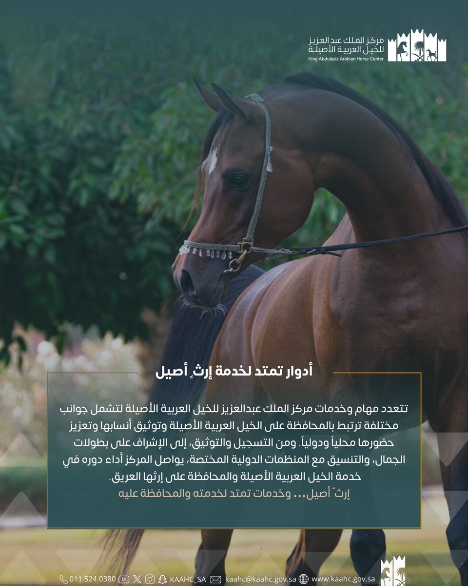 kaahc_sa's tweet photo. أدوار تمتد لخدمة إرثٍ أصيل

 #مركز_الملك_عبدالعزيز_للخيل 🐎 https://t.co/XS8ytmkecS