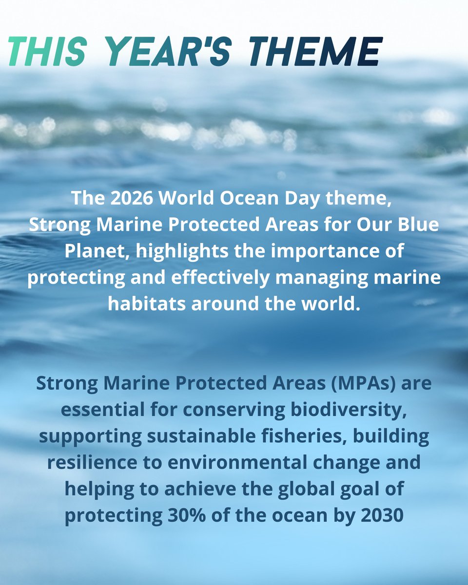 sussex_ifca's tweet photo. 🌊 Today is #WorldOceanDay.  This year's theme, Strong Marine Protected Areas for Our Blue Planet. Sussex's Marine Protected Areas play a vital role in helping our seas remain healthy, productive and resilient. 🐟🌍  #Sussex_IFCA https://t.co/n91Yf6wZok