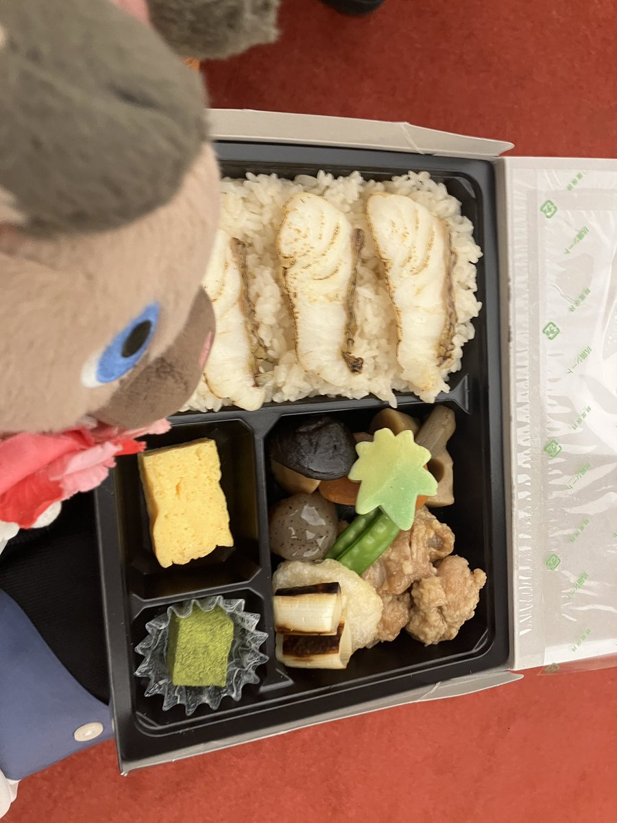tier1moon's tweet photo. おべんとおべんと🐶🍱 https://t.co/b8o2H3coZD