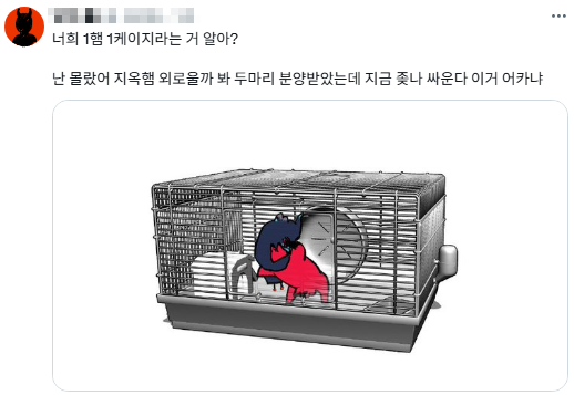 _8gya's tweet photo. 기간 한정 햄스터집 소재를 다운받았어요 https://t.co/obGYmrWGaG