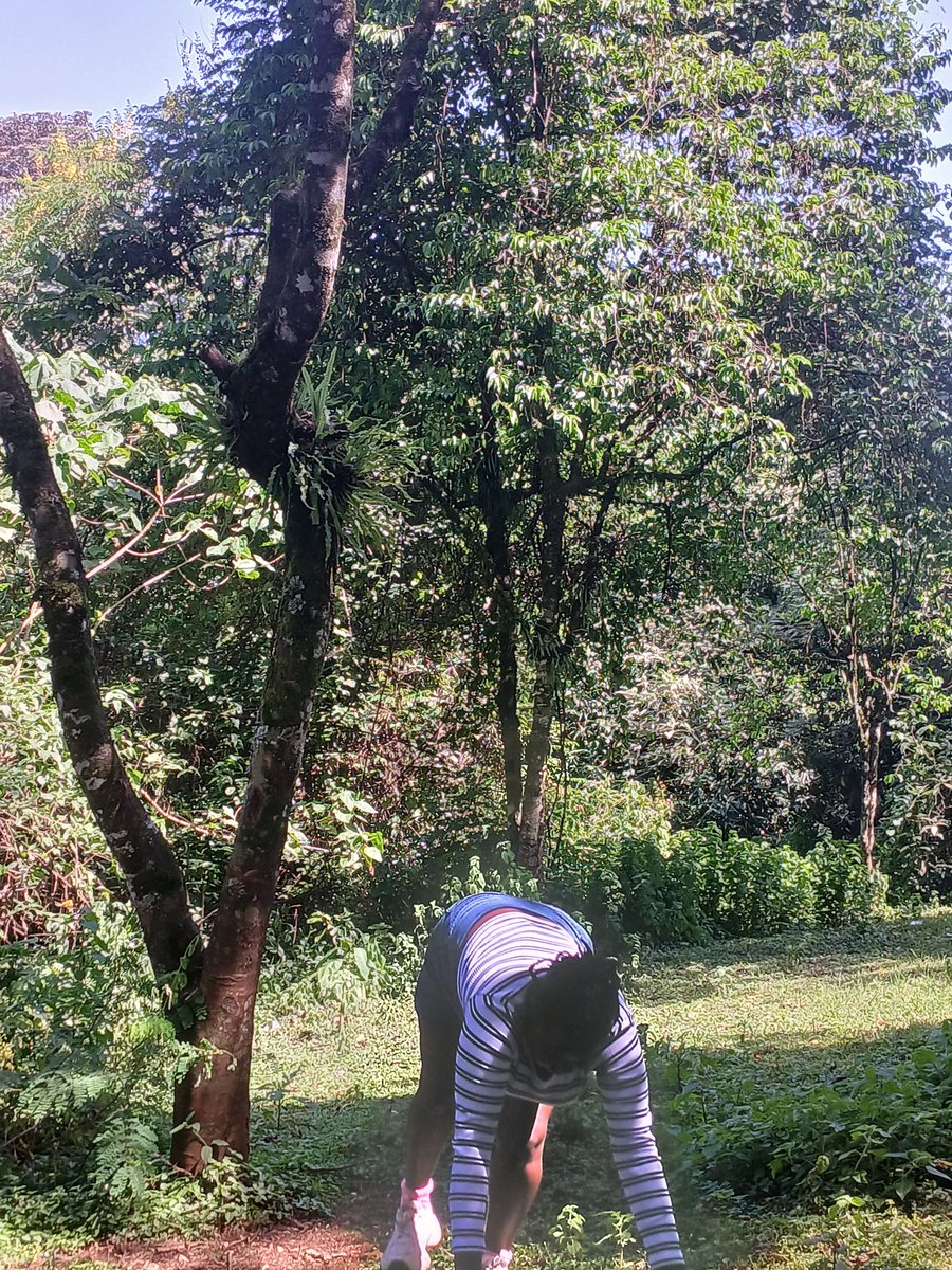 legallychubby's tweet photo. Just a girl letting loose in the deep green lushes of Kericho
#kericho https://t.co/l9cjb0t5V5