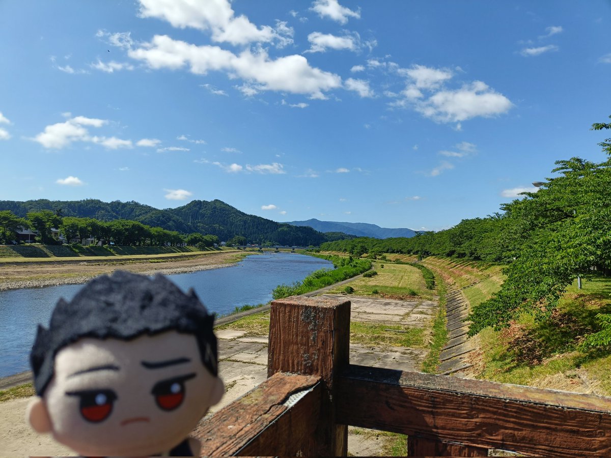 Wijnruit010's tweet photo. 桜の名所（夏） https://t.co/gCplsGbhP1