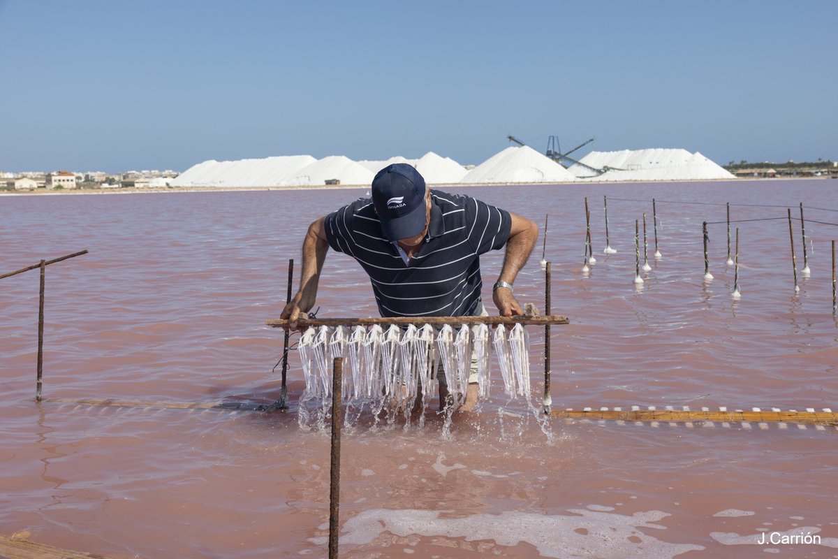 ProyectoMastral's tweet photo. La artesanía salinera es una de las señas de identidad de Torrevieja. En las aguas de la laguna salada de Torrevieja se elaboran los tradicionales barcos de sal en estos meses de primavera y verano. https://t.co/9mvY1iCJbf