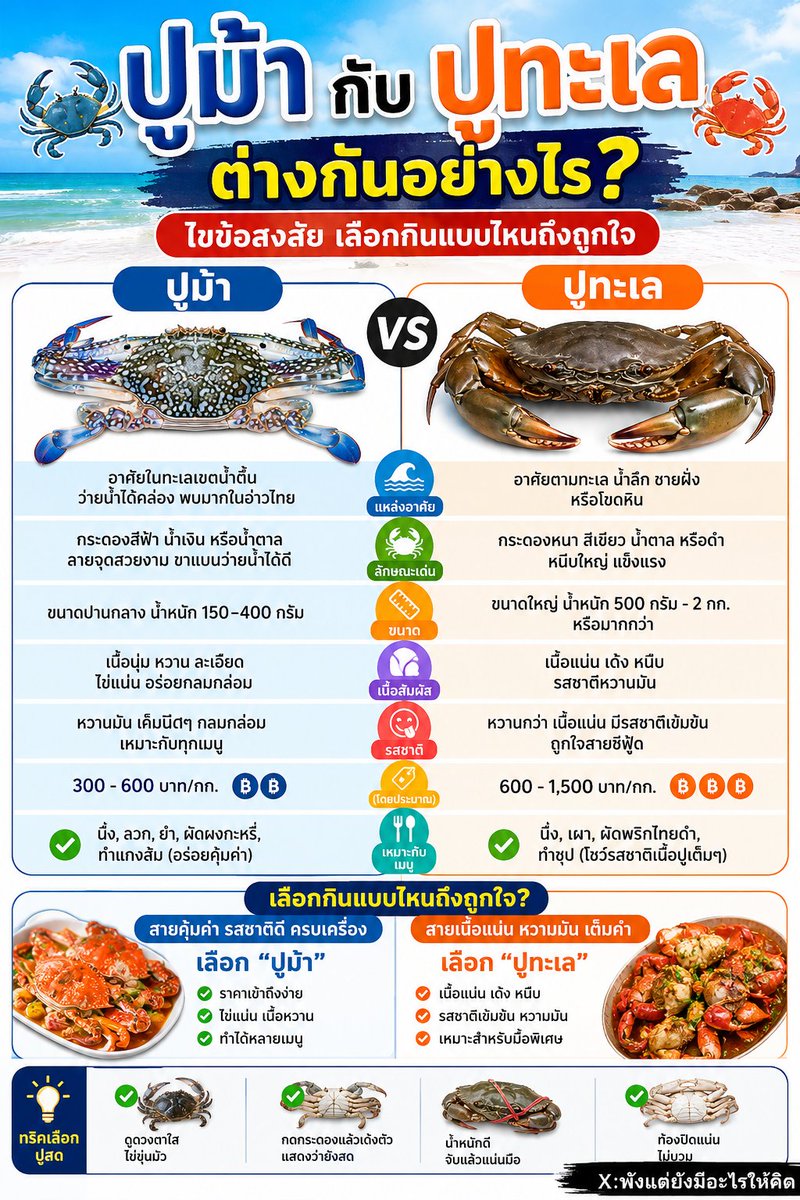NO1CAPTION's tweet photo. 🦀 ปูม้า VS ปูทะเล ต่างกันยังไง?

หลายคนสั่งกินทุกครั้ง แต่ไม่เคยรู้ว่าปู 2 ชนิดนี้ต่างกันตรงไหน 🤔

✅ ปูม้า เนื้อหวานละเอียด ไข่แน่น ราคาเข้าถึงง่าย
✅ ปูทะเล เนื้อแน่นเด้ง หวานมัน รสชาติเข้มข้น

แล้วถ้าต้องเลือกแค่ 1 อย่าง... คุณอยู่ทีมไหน? 👇

💙 ทีมปูม้า 🧡 ทีมปูทะเล

คอมเมนต์มาหน่อยว่าชอบเพราะอะไร!

#ปูม้า #ปูทะเล #อาหารทะเล #ซีฟู้ด #สายกิน #ความรู้คู่ครัว #อาหารไทย #ไวรัล #Xพังแต่ยังมีอะไรให้คิด