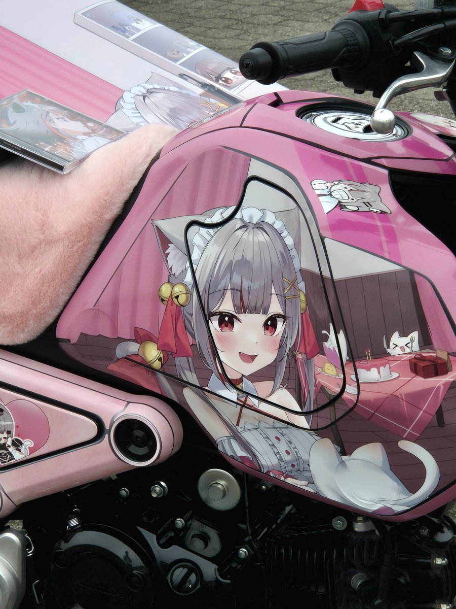 stel_seok's tweet photo. 우주에서 온 고양이 마시로입니다~

🏍: @Ming326591

#밋타샤2026 #MeetTheItasha #밋타샤 https://t.co/9oMz5G1GhV