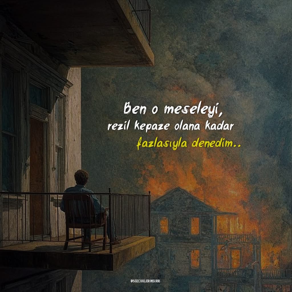 Ardıç Kuşu tweet media