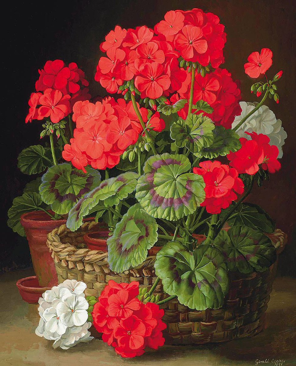 museo53's tweet photo. Gerald #Cooper (Pintor inglés, 1898-1975) 
- Geranio, 1955, óleo sobre tabla, 50 x 42 cm (Colección privada).

El artista era especialmente reconocido por la minuciosidad de sus representaciones florales, en el estilo de los maestros antiguos holandeses. https://t.co/Pp68efTcqh