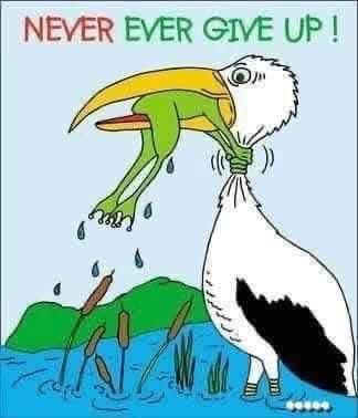 PATRIOT2117's tweet photo. https://t.co/ZjsYEBkWm2
