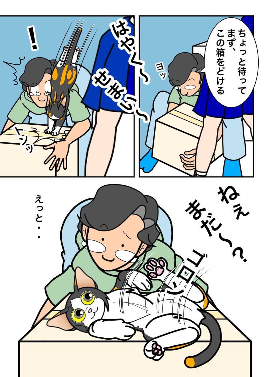KuninA007's tweet photo. たまに家の中の人口密度が高くなることがある😅

#猫漫画  #三毛猫 #猫あるある
#kindleインディーズ https://t.co/VSAqenVYcO