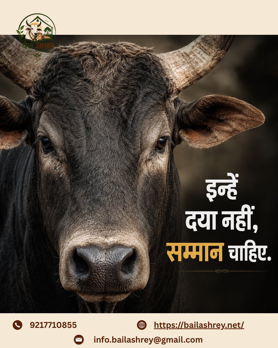 Bailashray's tweet photo. 🐂 इन्हें दया नहीं, सम्मान चाहिए।
हर पशु सम्मान, सुरक्षा और देखभाल का हकदार है।
आइए, करुणा से आगे बढ़कर सम्मान की संस्कृति बनाएं। ❤️
🌐 https://t.co/69z5uLdrex
#BailAshrey #RespectAnimals #AnimalWelfare #BullCare #CowCare #Compassion #SaveAnimals #KindnessMatters https://t.co/D2WLpOJrAe