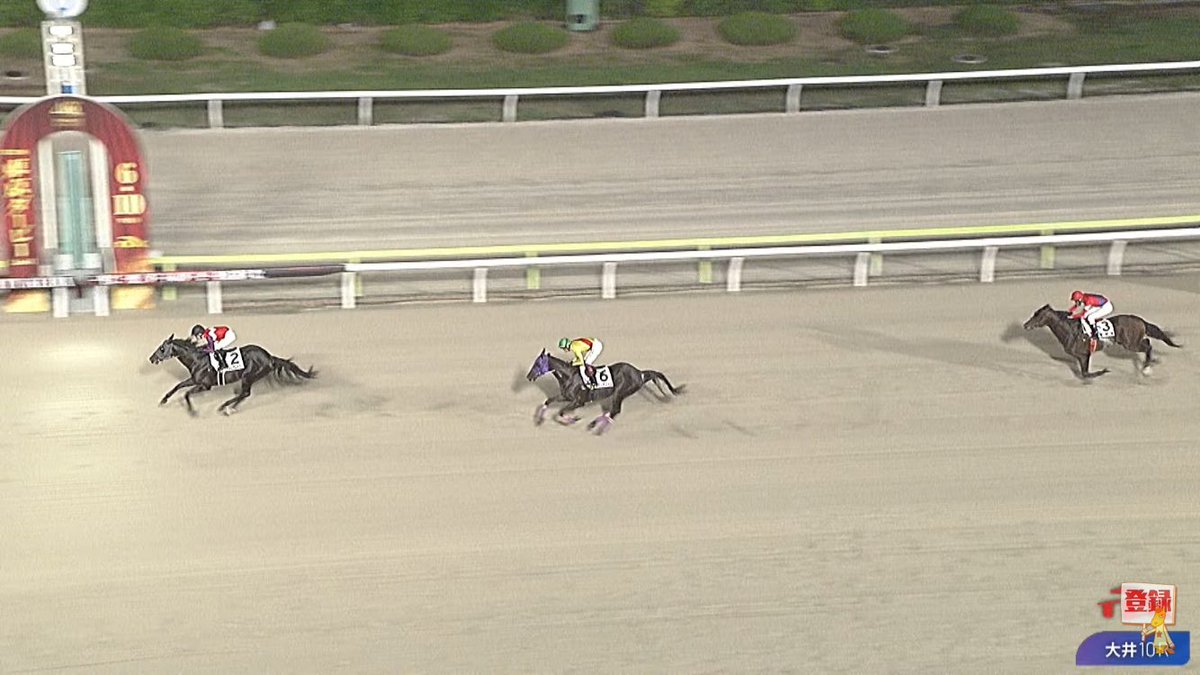 tenko_tc's tweet photo. 本日大井競馬10R「ウイングシート賞競走(A2B1)」にて、お預かりしておりましたカヌレフレイバー号が勝利しました！🏆

人気に応えての１着���これで４連勝！！

まだまだ上の舞台でも頑張ってくれそうです。
これからの活躍も期待しております！

関係者の皆様、おめでとうございます㊗️ https://t.co/R3h11oT84w