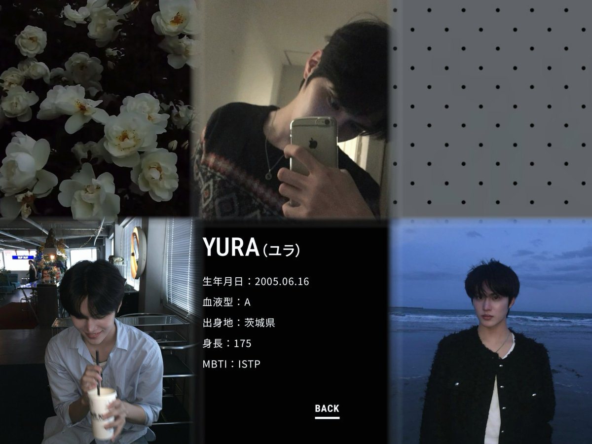 ♩ tweet media