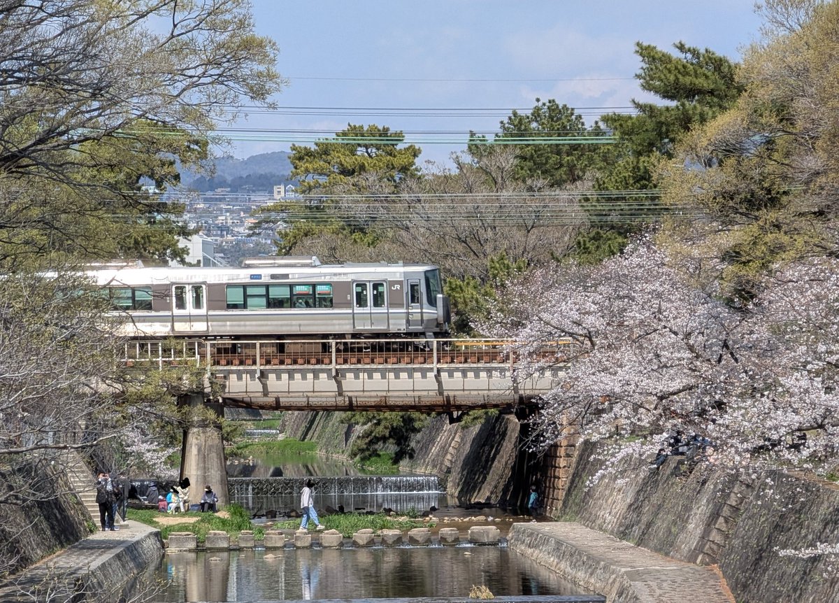 maikyYMoto's tweet photo. 2026桜旅🌸その2
別の日ですが、いつもの夙川で📸
久々に旅のお供登場😁
去年より左側が寂しいような…🥲

#桜
#夙川 https://t.co/H8DvZhB9H9