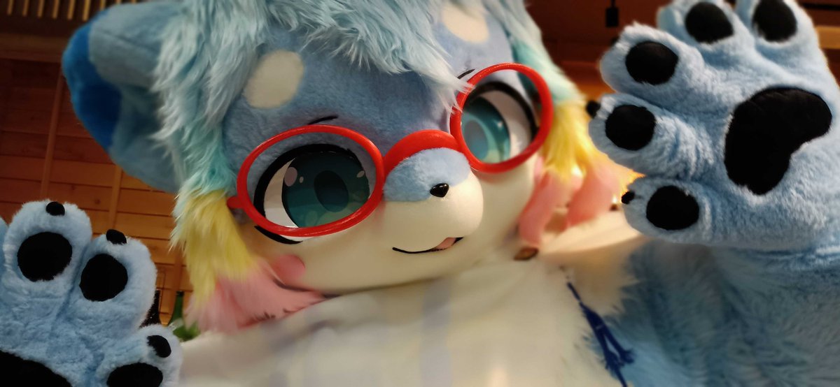 radiowave543's tweet photo. #ケモノを見て今週も頑張りマンデー ミントちゃんお眼鏡もかわいいんだこれが https://t.co/UBCrO7ZXL6