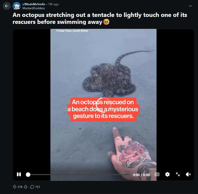 True_Augustuss's tweet photo. 30K UPVOTES IN LESS THAN A DAY

This octopus lightly touched a person who tried to rescue him but then it instantly swam away.

This is an ACTUAL Nietzschean narrative

Nietzschean Octopus

People are even memeing it in the comments so fckign good

https://t.co/SuVc5E5ysT https://t.co/cFMNOlDSPS