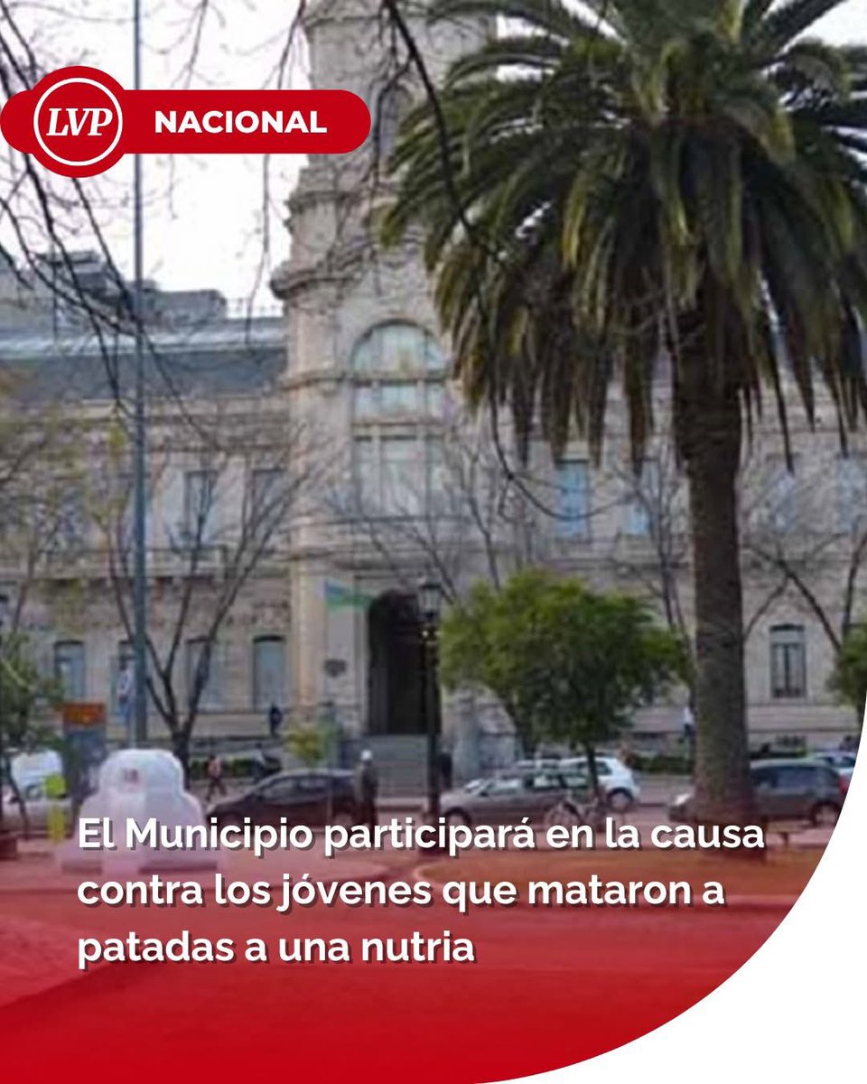 mavica7's tweet photo. Se presentará como particular damnificado, una figura jurídica que le permitirá colaborar y acompañar la investigación. https://t.co/EBauz5FMNS