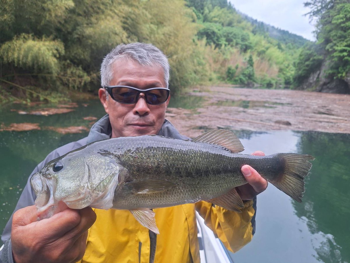 PerryOnishi's tweet photo. 65歳のバス釣りアングラー！
初早明浦ダムを楽しんで頂きました！

普段はトライトンボートで釣りを楽しんでおられるゲスト様

今回は早明浦ダムのルールと今の釣り方、攻め方をレクチャーしながらの釣行

イレギュラーコンディションの早明浦ダムでしたが、幸先良くバスをキャッチ！ https://t.co/V8RT7hdaWb