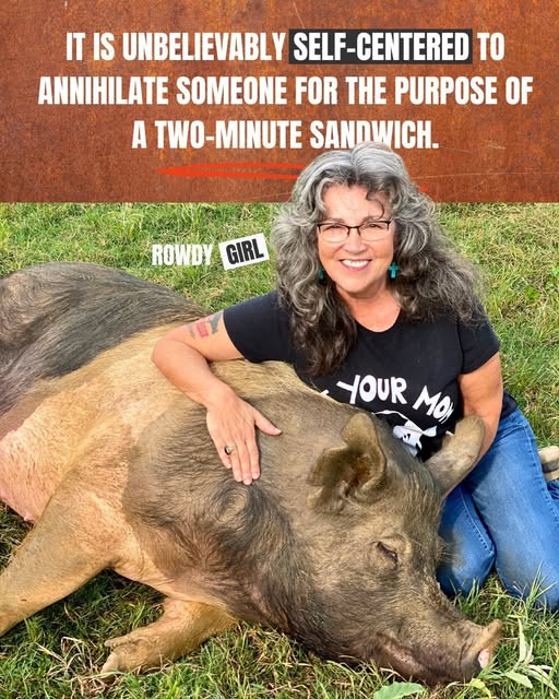 RowdyGirlRanch's tweet photo. Our pigs are chill, smart &amp; sweet.
I'm disgusted when I see trolls commenting “bacon” like they invented the wheel.🙄
You think your lack of empathy is cool - but it’s actually really sad.
Think for yourself.
🐷Join the Herd🐮
➡️https://t.co/PiTjIKtamB https://t.co/NFvVwmojse