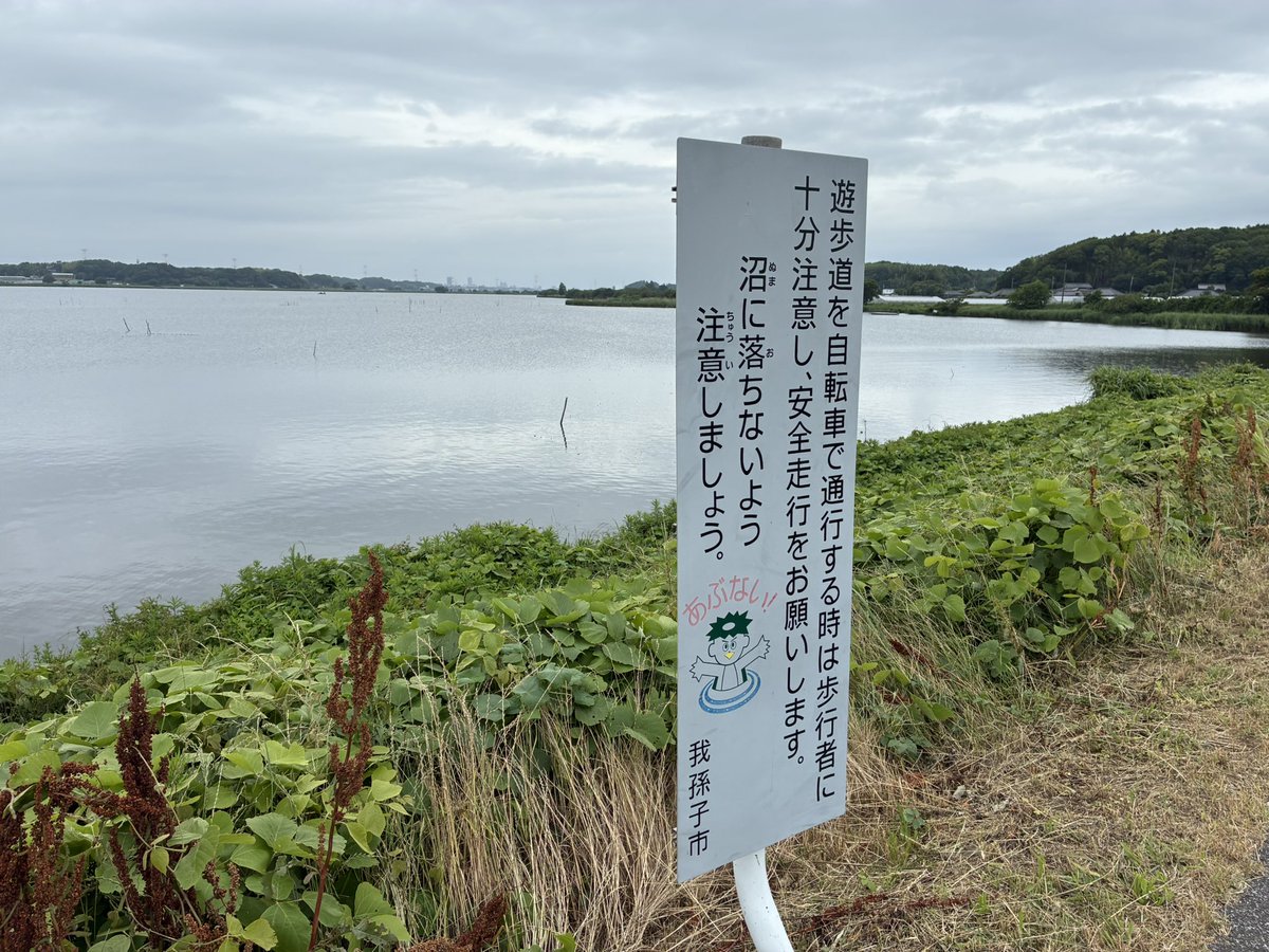 3min_delay's tweet photo. 沼に落ちないよう注意しましょう。 https://t.co/spEBI7wd1A