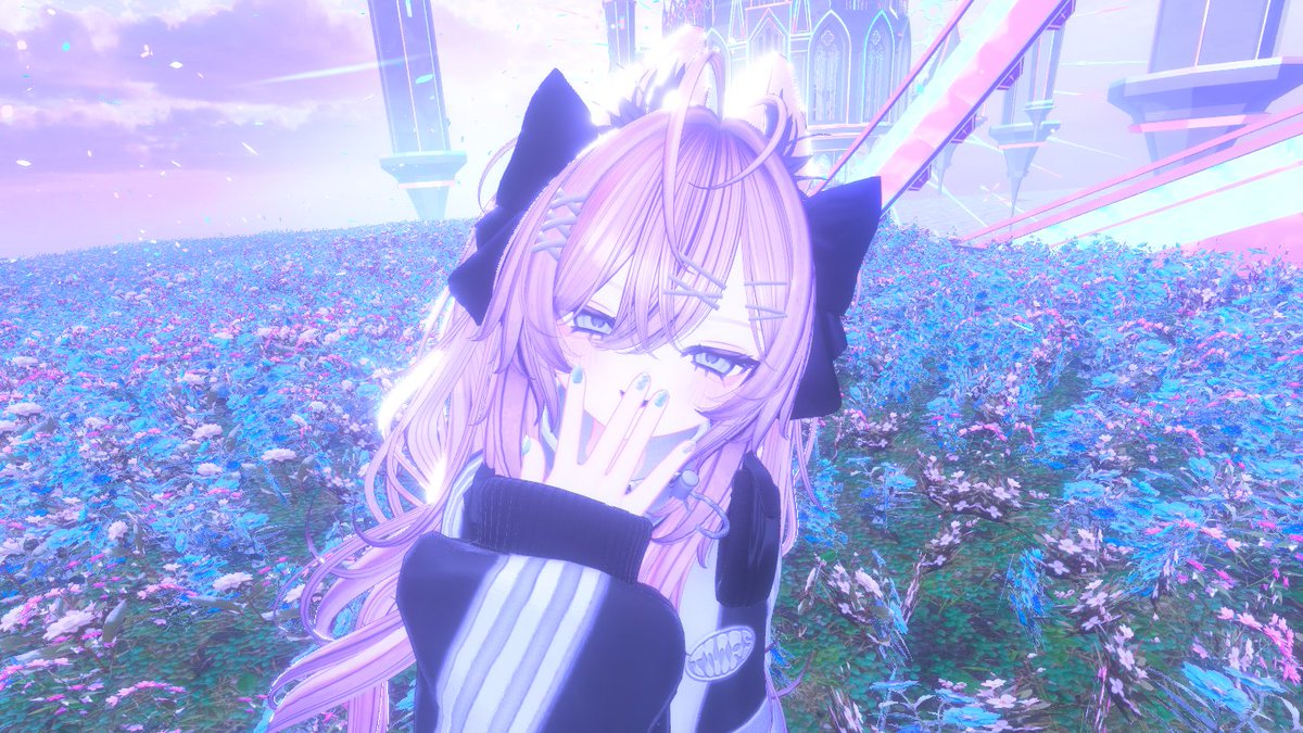 calicotte_'s tweet photo. https://t.co/PE81TOq5is