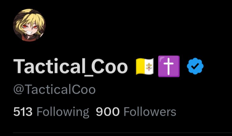 Tactical_Coo 🇻🇦✝️ tweet media
