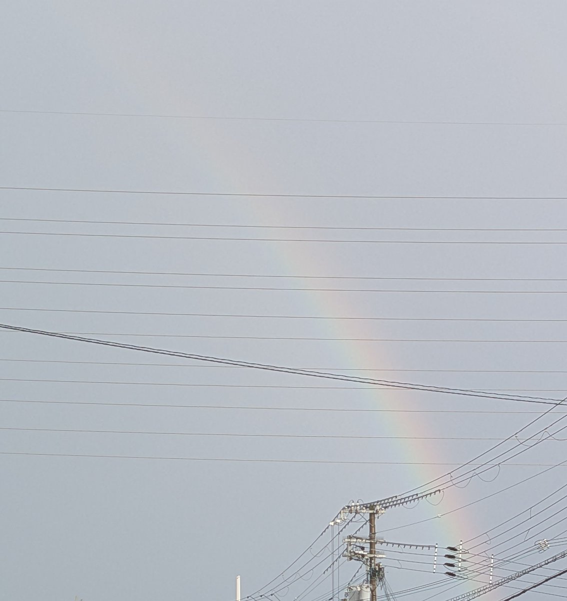 1833Takuya's tweet photo. 昨日久しぶりに虹🌈を見たよ☺️

いつ見ても綺麗だね🤭 https://t.co/rPJ6o6U6e3