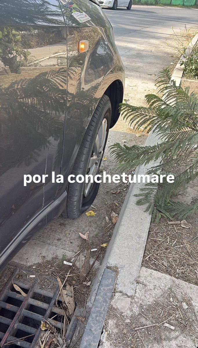 retamale3's tweet photo. https://t.co/Cy8Lfbtprj