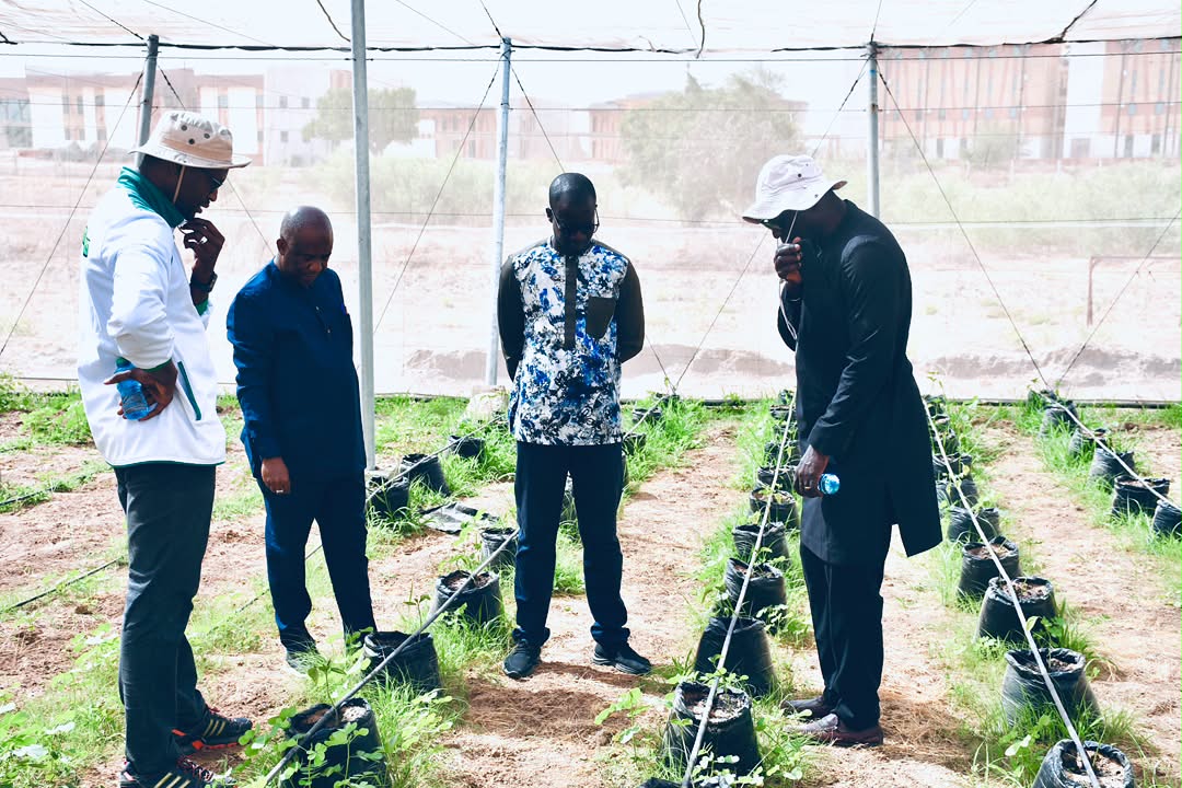 univsinesaloum's tweet photo. En prélude à la prochaine campagne agricole, le Recteur de l’USSEIN, Pr Diégane Diouf, s’est rendu à la ferme agricole universitaire pour faire le point sur les préparatifs et les perspectives de production.
#USSEIN @diegane_diouf @Diakhate_12 @pnsbalante https://t.co/5sYaFDHNUz
