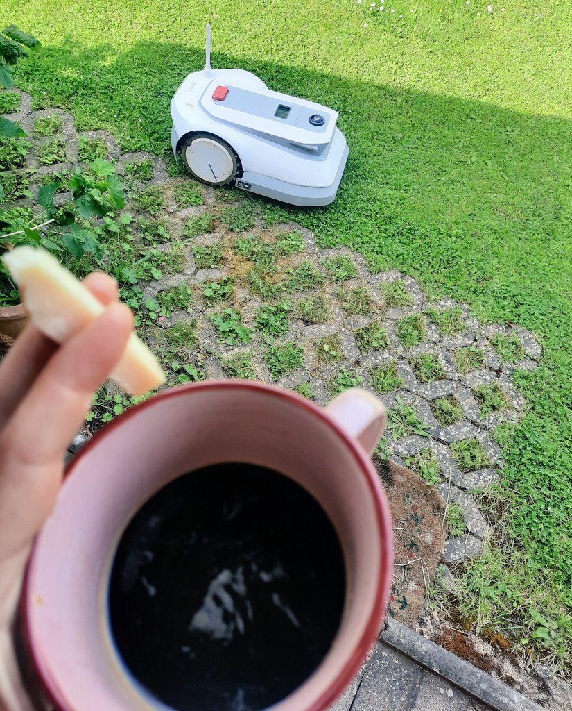 Moonlit_Devious's tweet photo. Got a little visitor this morning. https://t.co/C5zwtHxguz