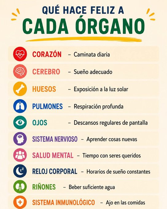 el_buho86742's tweet photo. Cada órgano de tu cuerpo es feliz cuando tú le das lo que más necesita. 
¿Le estás dando lo que te pide? https://t.co/CYI8NcWucV