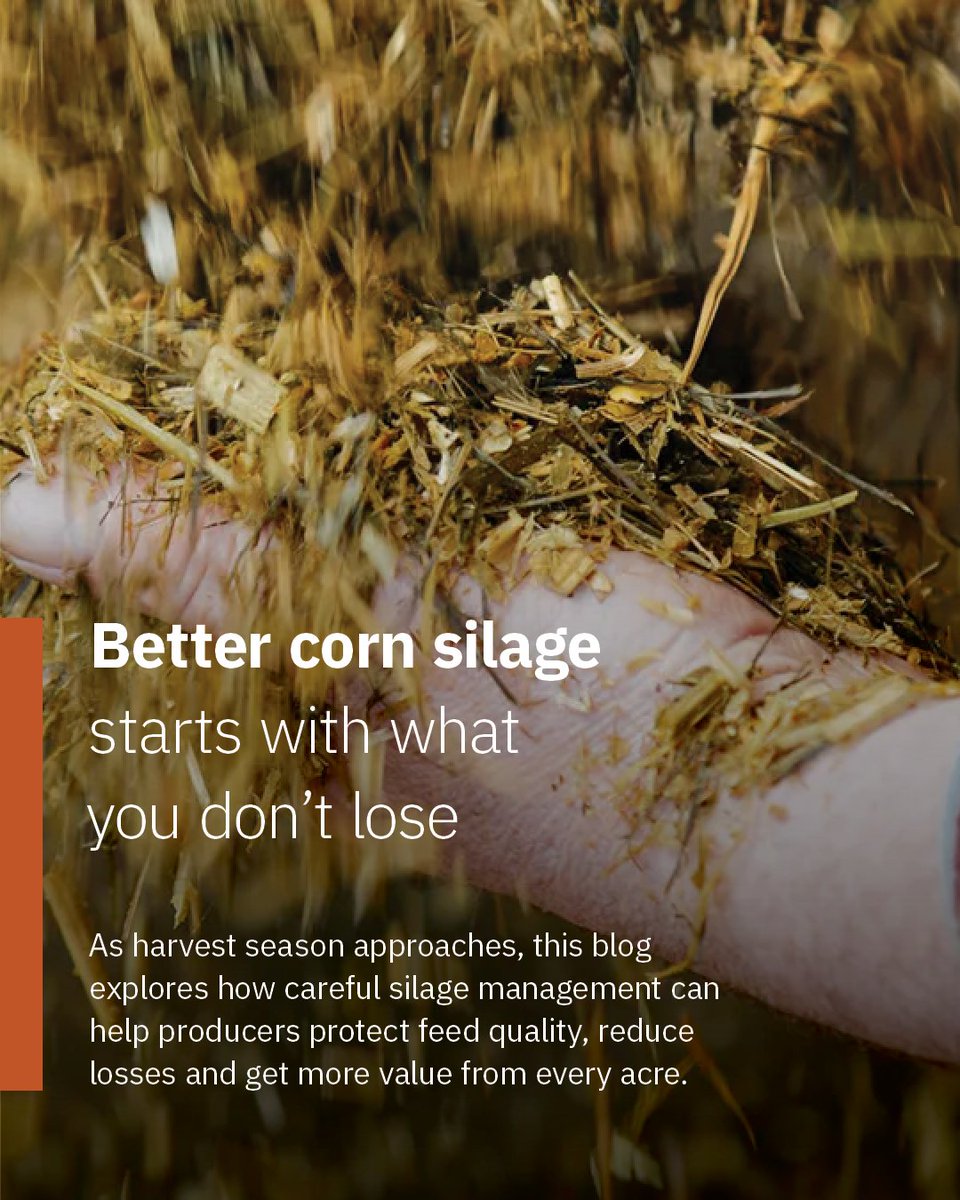 Alltech tweet media