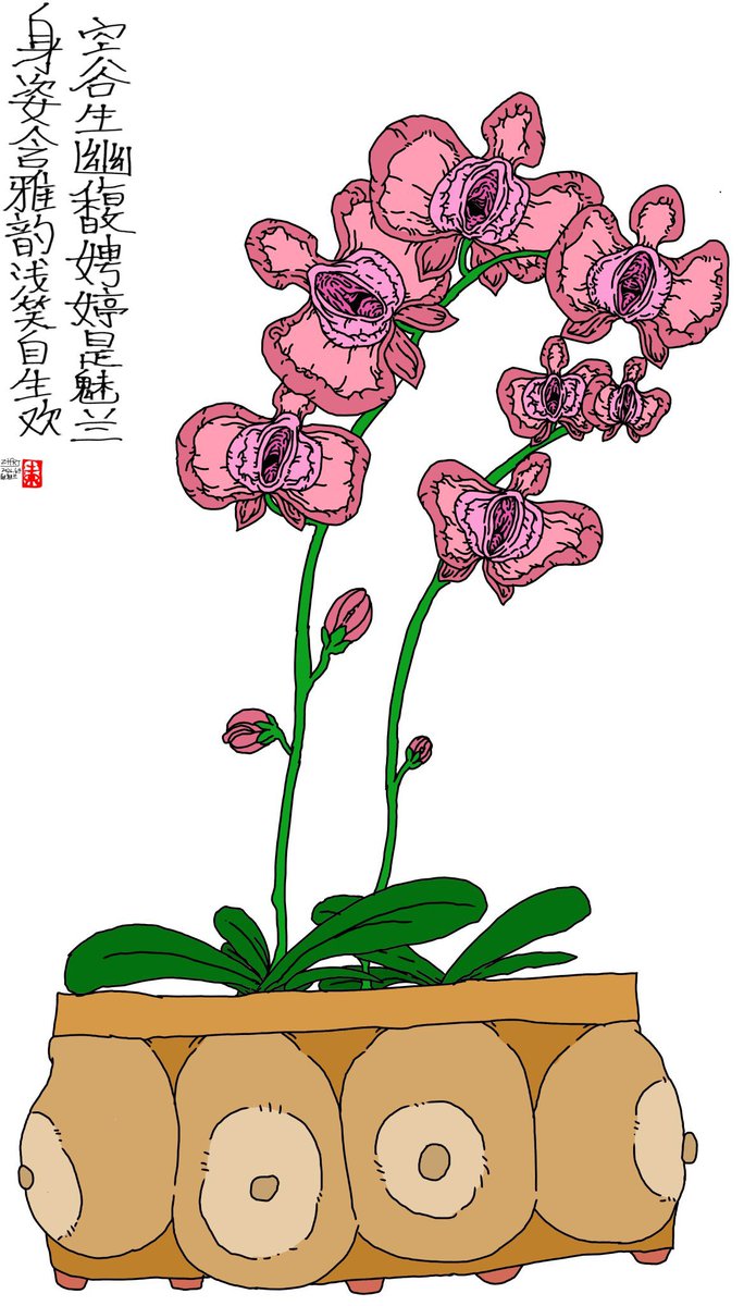 魅兰 tweet media