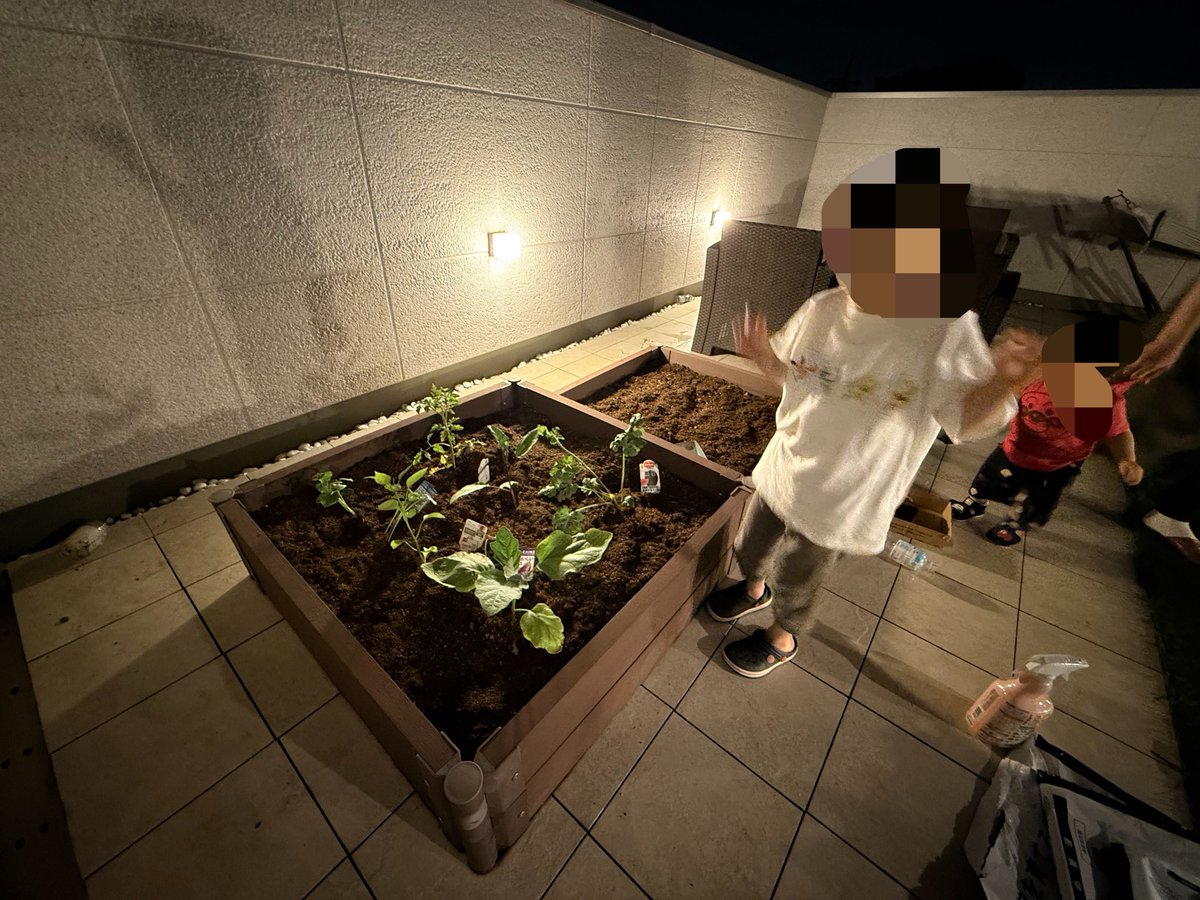 GTH_Physics's tweet photo. 息子たちと屋上の菜園に夏野菜を植えた🍅🫑🍆

そして、長谷川は４日前から片耳が難聴に🦻
ずーっとノイキャンイヤホンを片耳にしてる感じで、ピーという耳鳴りも常時。

つら。 https://t.co/OInpCDcuEr