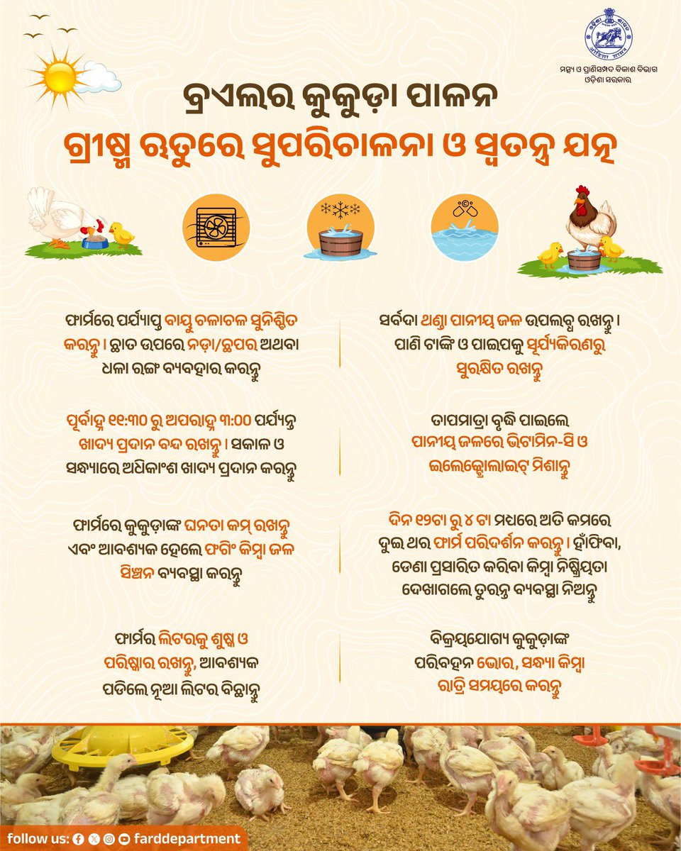 farddepartment's tweet photo. ଟାଣ ଖରାରେ ବ୍ରଏଲର କୁକୁଡ଼ାଙ୍କ ସ୍ୱାସ୍ଥ୍ୟ ଓ ଅଣ୍ଡା ଉତ୍ପାଦନ ବଜାୟ ରଖିବାକୁ ଫାର୍ମରେ ଶୀତଳ ପରିବେଶ ସୁନିଶ୍ଚିତ କରନ୍ତୁ। ସେମାନଙ୍କୁ ସବୁବେଳେ ଥଣ୍ଡା, ପରିଷ୍କାର ପାଣି ଦିଅନ୍ତୁ ଏବଂ ଅଂଶୁଘାତରୁ ରକ୍ଷା କରିବା ପାଇଁ ପାନୀୟ ଜଳରେ ଭିଟାମିନ୍-ସି ଓ ଇଲେକ୍ଟ୍ରୋଲାଇଟ୍ ମିଶାନ୍ତୁ।

@CMO_Odisha @GokulanandaBJP @Vijaykulange https://t.co/EF74cD48Vx